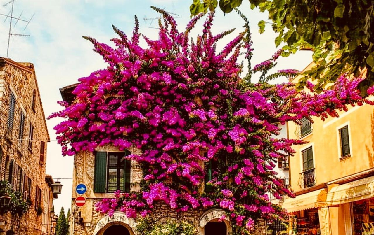Boutique Hotel סירמיונה מראה חיצוני תמונה