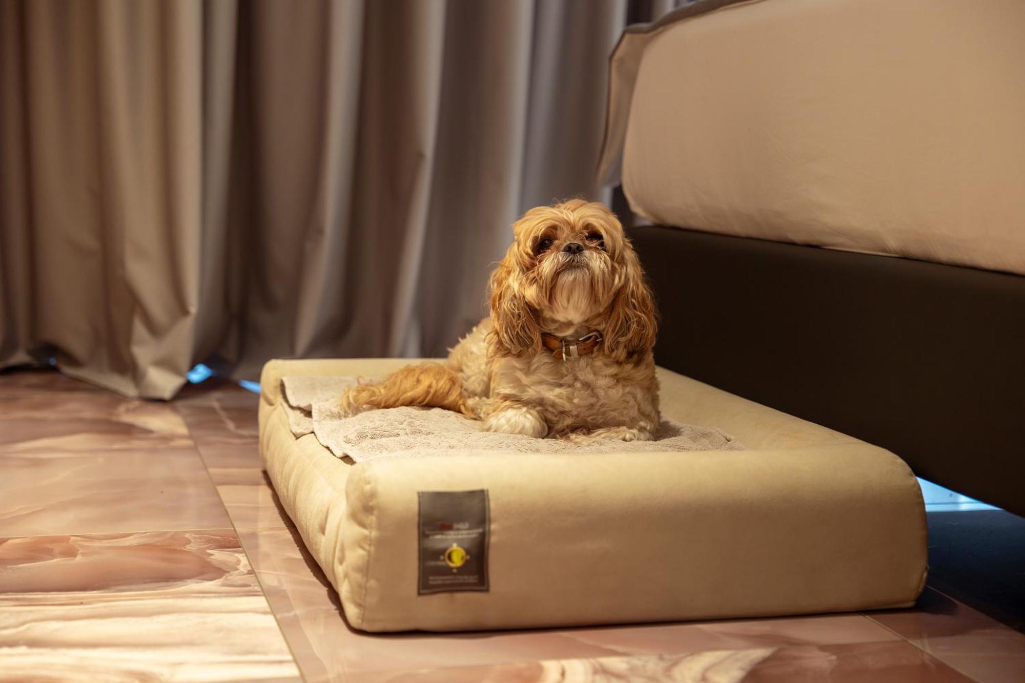 Boutique Hotel סירמיונה מראה חיצוני תמונה